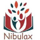 Nibulax International Studies logo