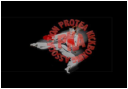 Protea Kickboxing Association logo