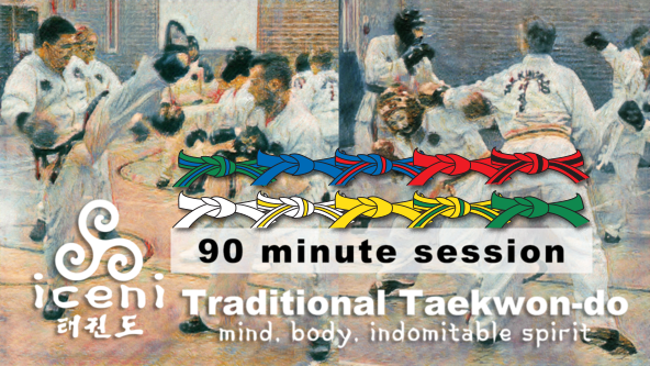 ICENI TAEKWON-DO Classes