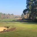 Liphook Golf Club logo