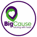 Bigcause logo