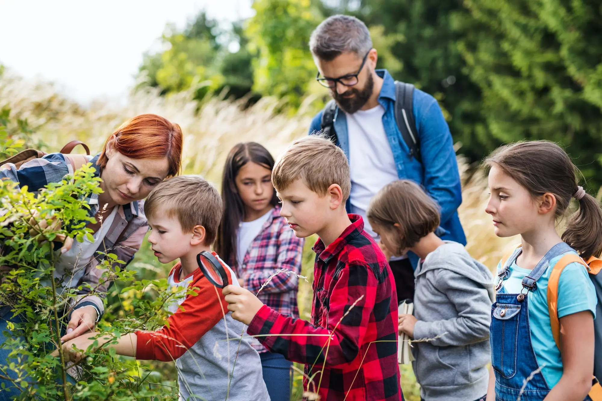 Teaching Young Learners (15 Hours)