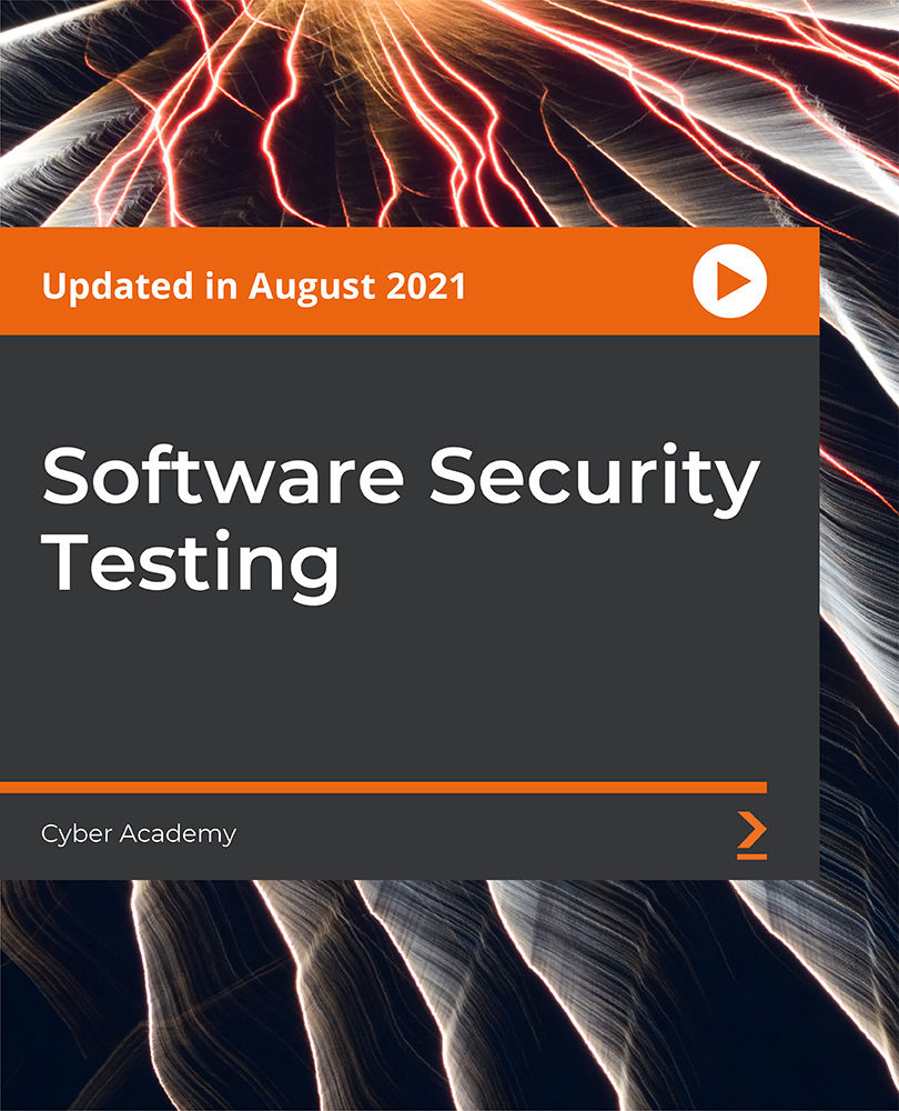 Software Security Testing