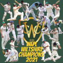 Warminster Cricket Club logo