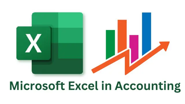 Microsoft Excel in Accounting Course