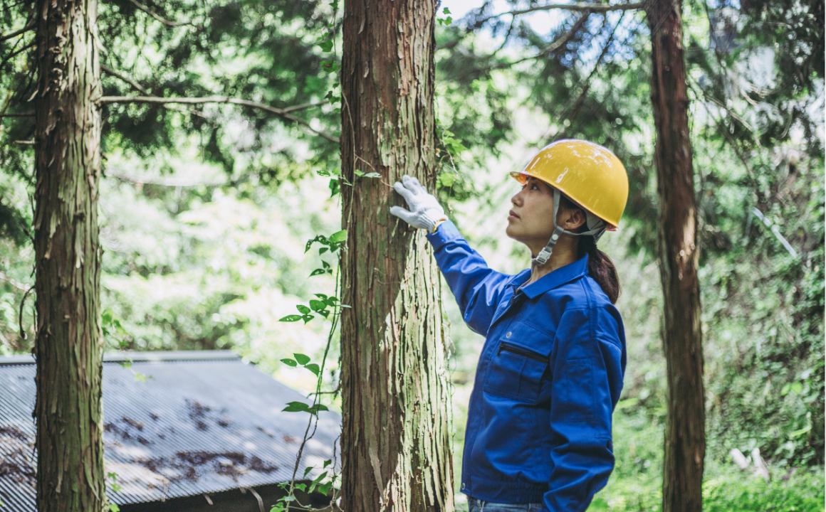 Forestry - CPD Accredited Course