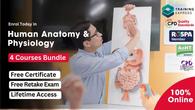 Human Anatomy and Physiology Course