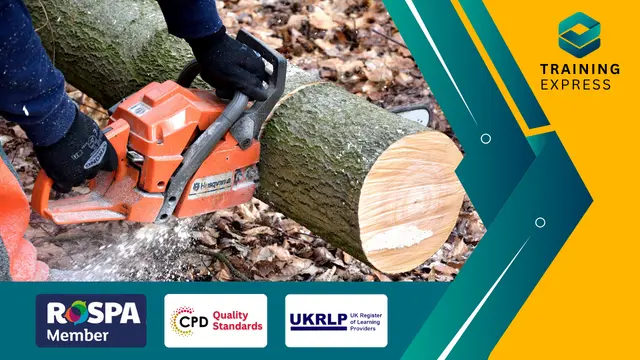 Chainsaw Safety Training Course