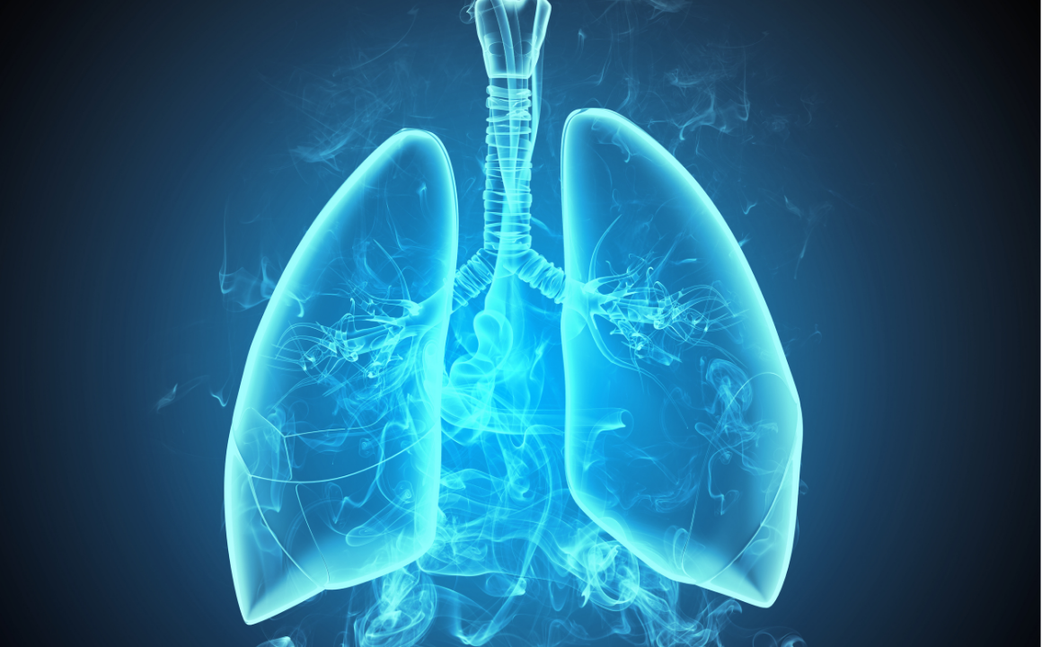 Anatomy and Physiology of Human Body Level 3 - CPD Accredited 3 Courses Bundle