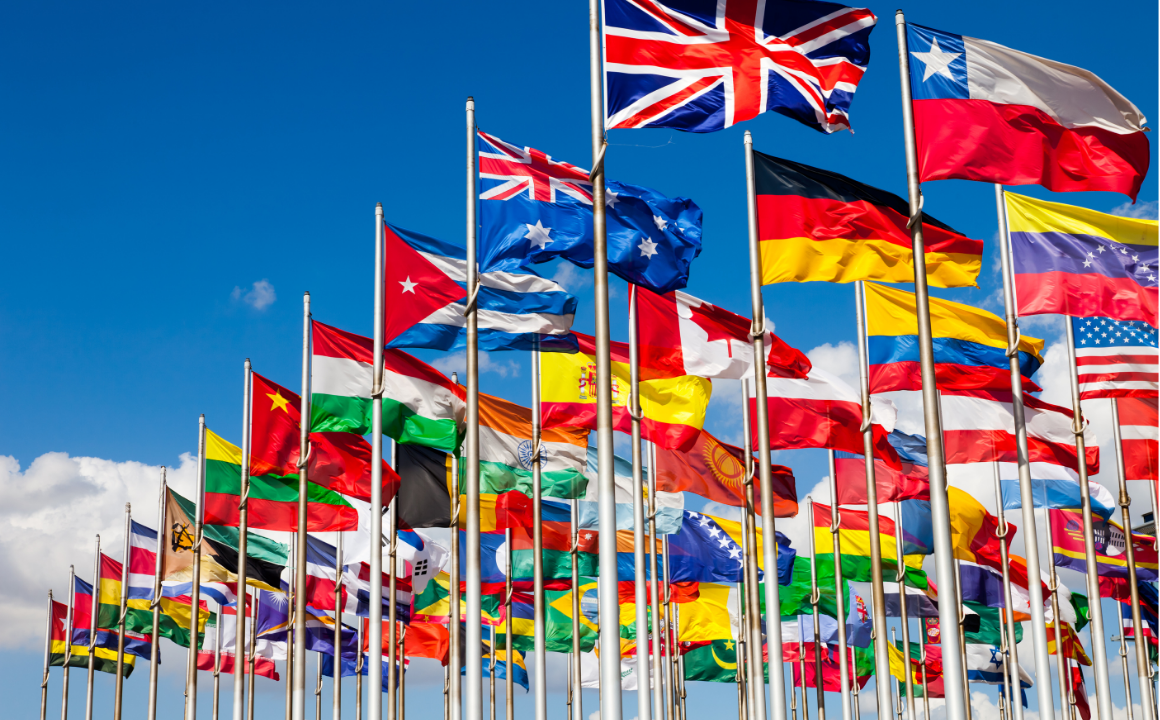 International Relations - CPD Accredited Course