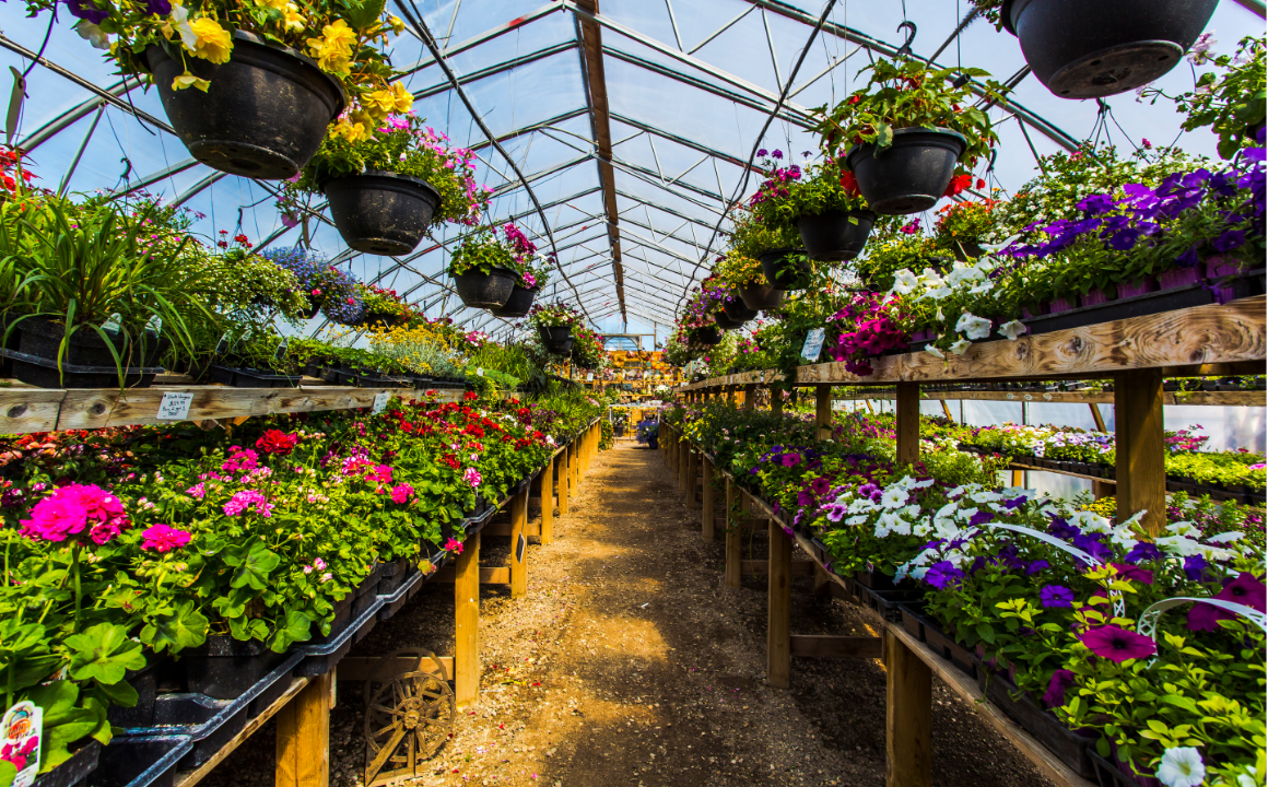 Horticulture - CPD Accredited Course