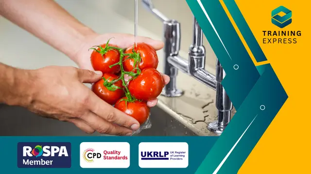 Kitchen Porter Training - CPD Certified Course