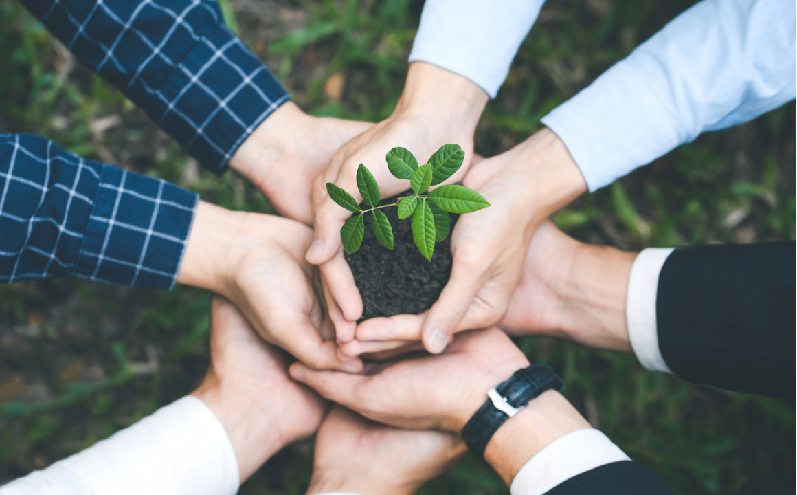 Environmental Management Certificate - CPD Accredited Course