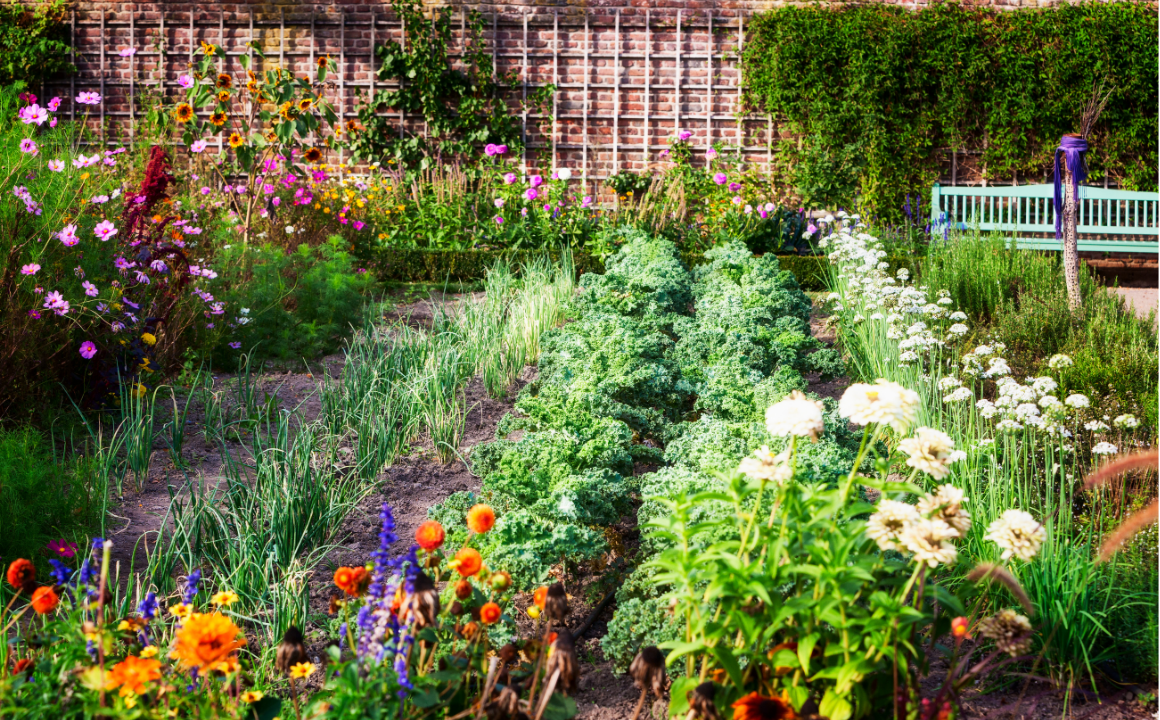 Kitchen Gardening - CPD Accredited Course