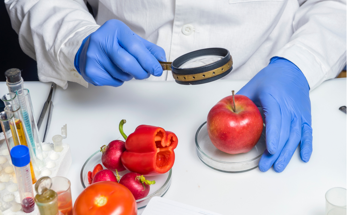 Level 2 Food Safety - CPD Accredited 3 Courses Bundle