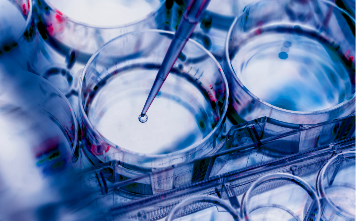 Biotechnology - CPD Accredited 3 Courses Bundle