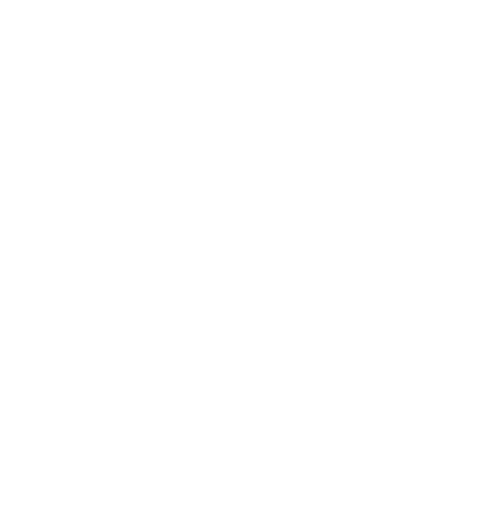 North Star Training logo