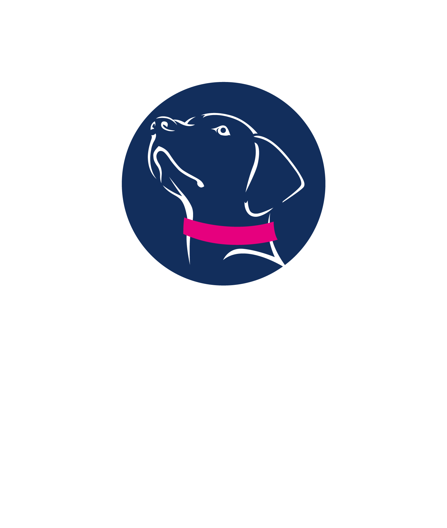 Rovers Return Dog Training And Behaviour Consultant