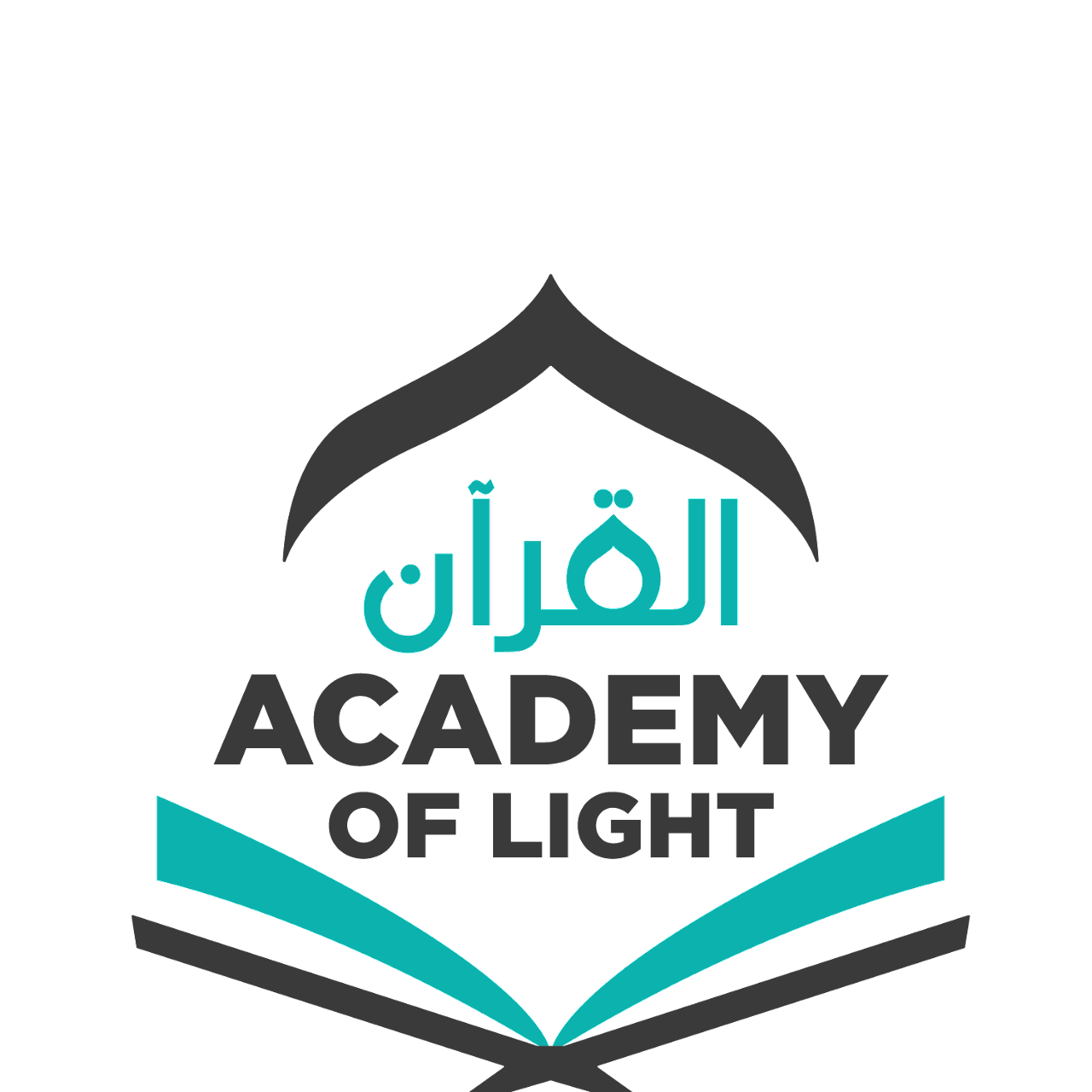 Academy Of Light Aol logo