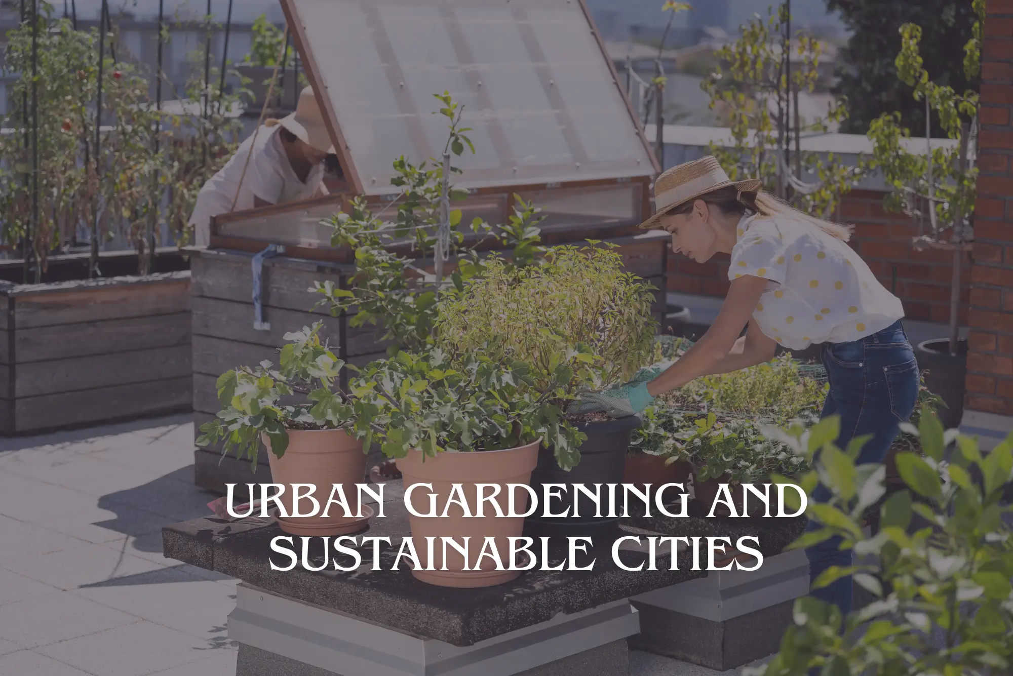 Urban Gardening and Sustainable Cities