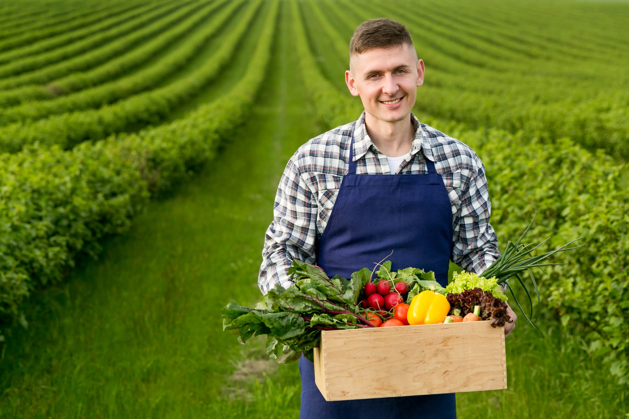 Sustainable Agriculture in the UK