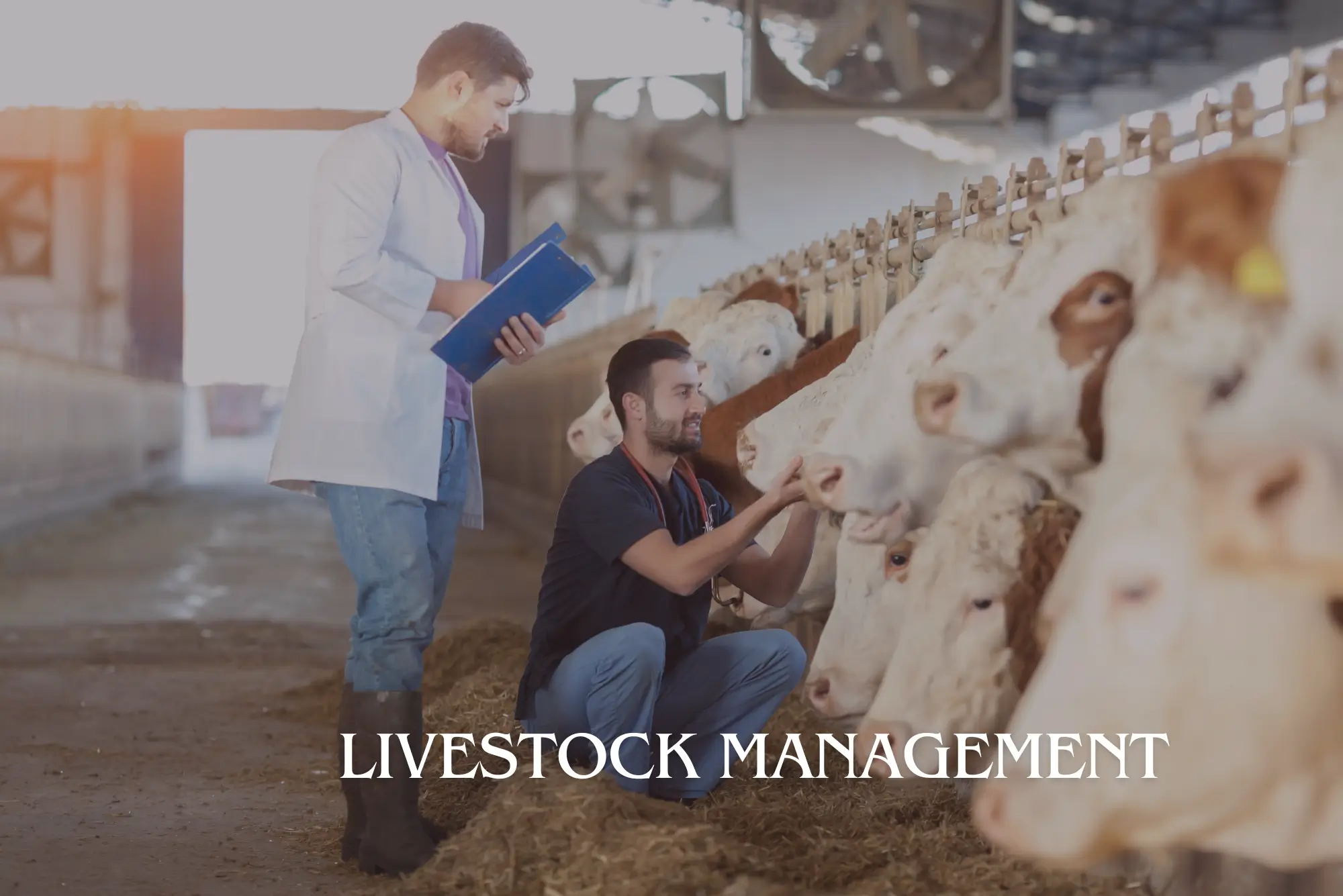 Livestock Management