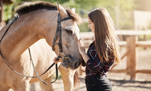 Horse Care - Equine Psychology