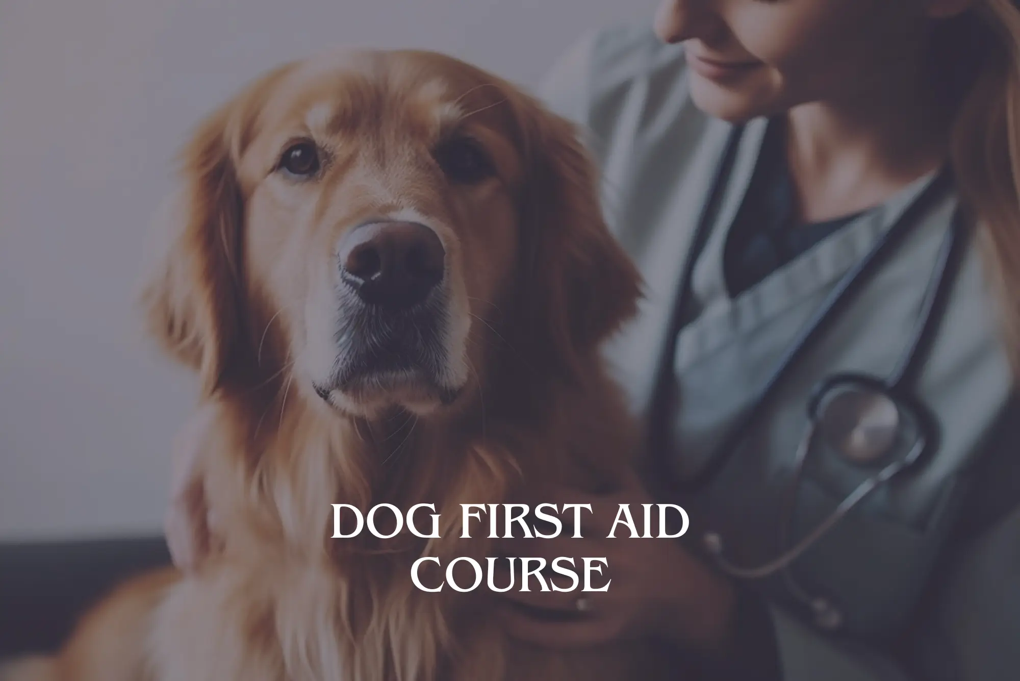 Dog First Aid Course