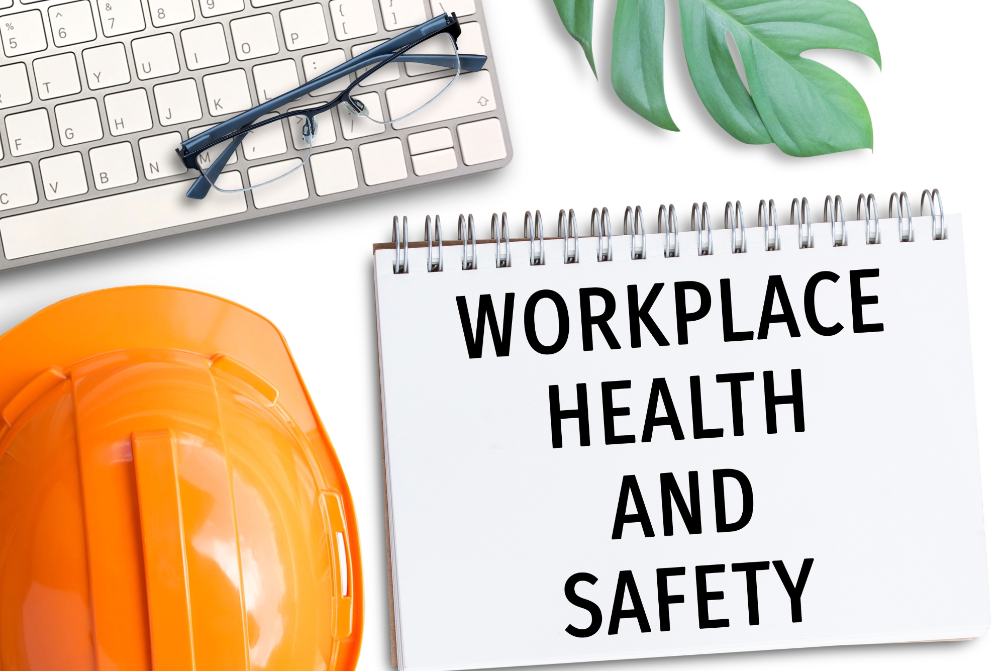 Workplace Health and Safety Advanced Diploma