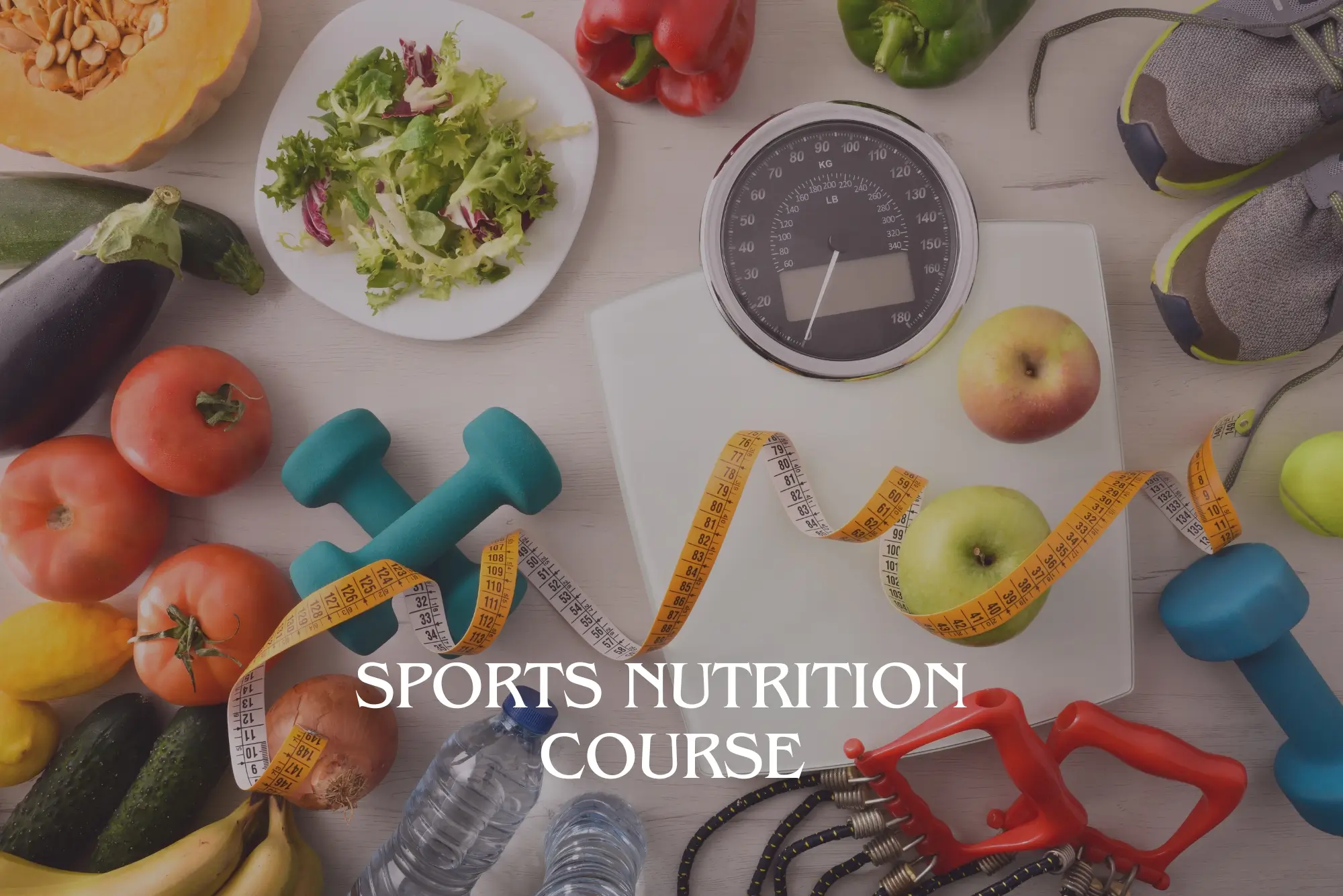 Sports Nutrition Course