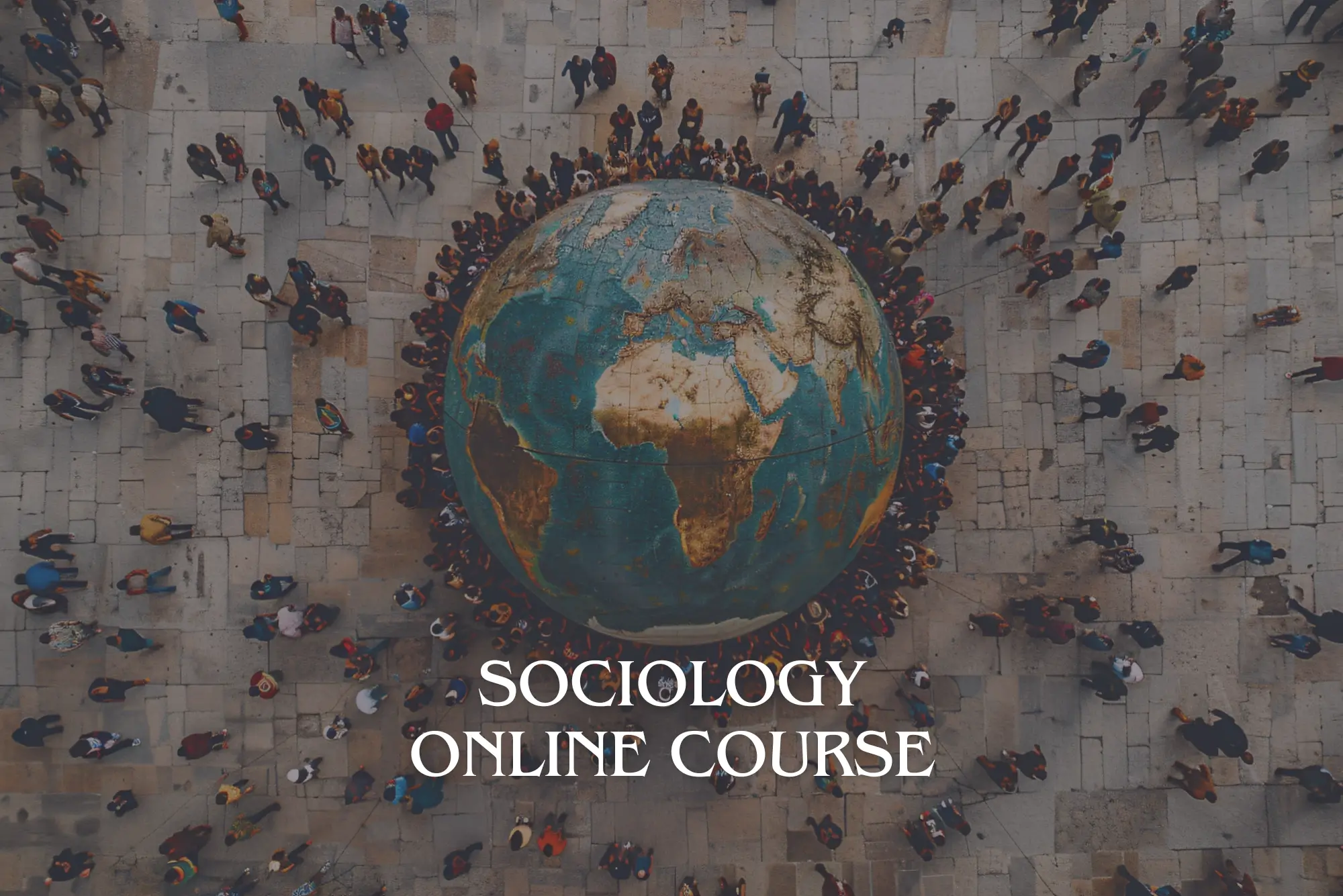 Sociology Online Course