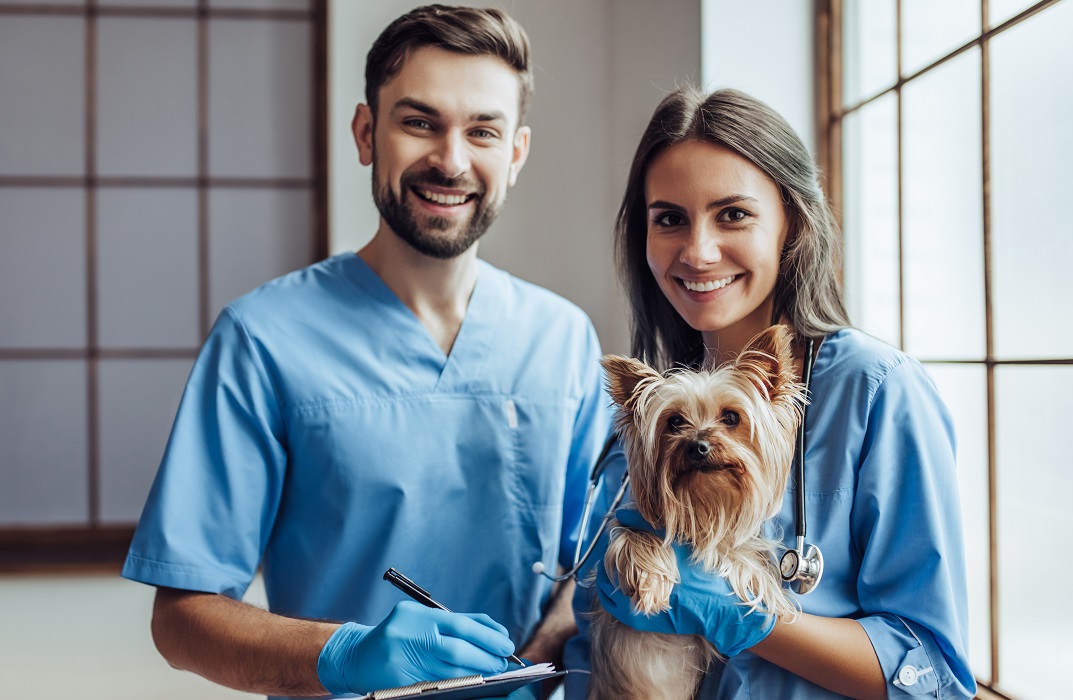 Veterinary Assistant