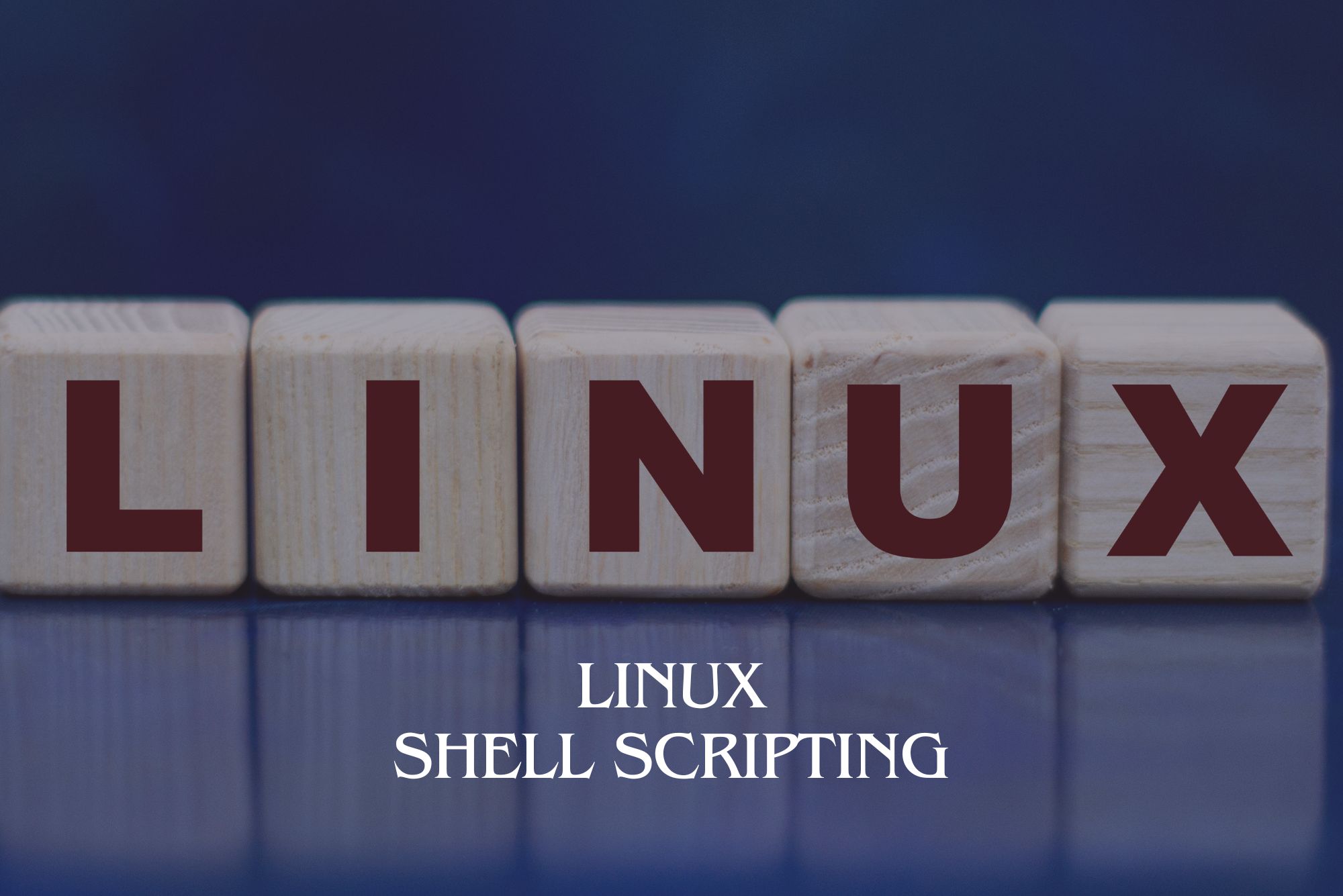 Linux Shell Scripting