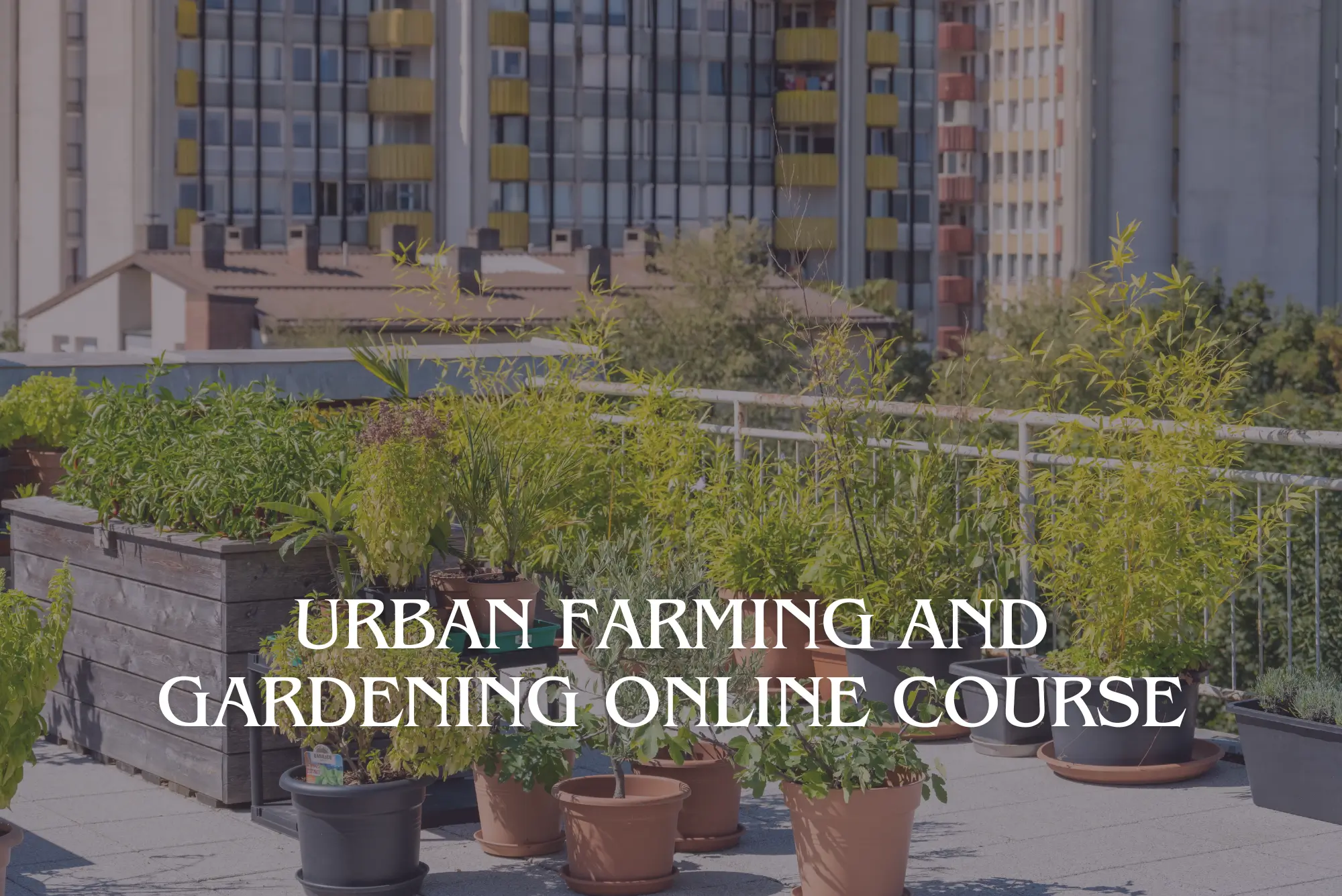 Urban Farming and Gardening