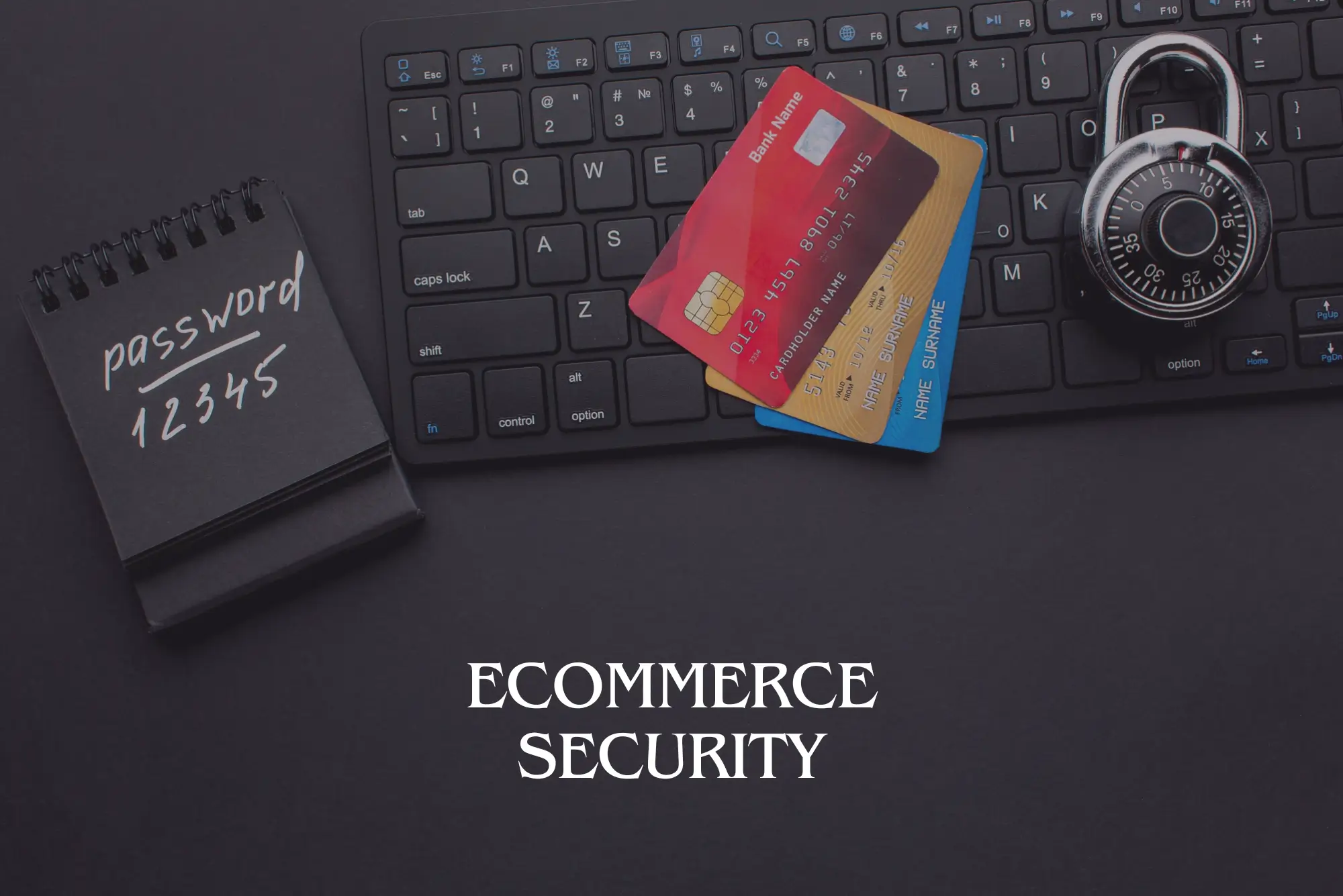 Ecommerce Security