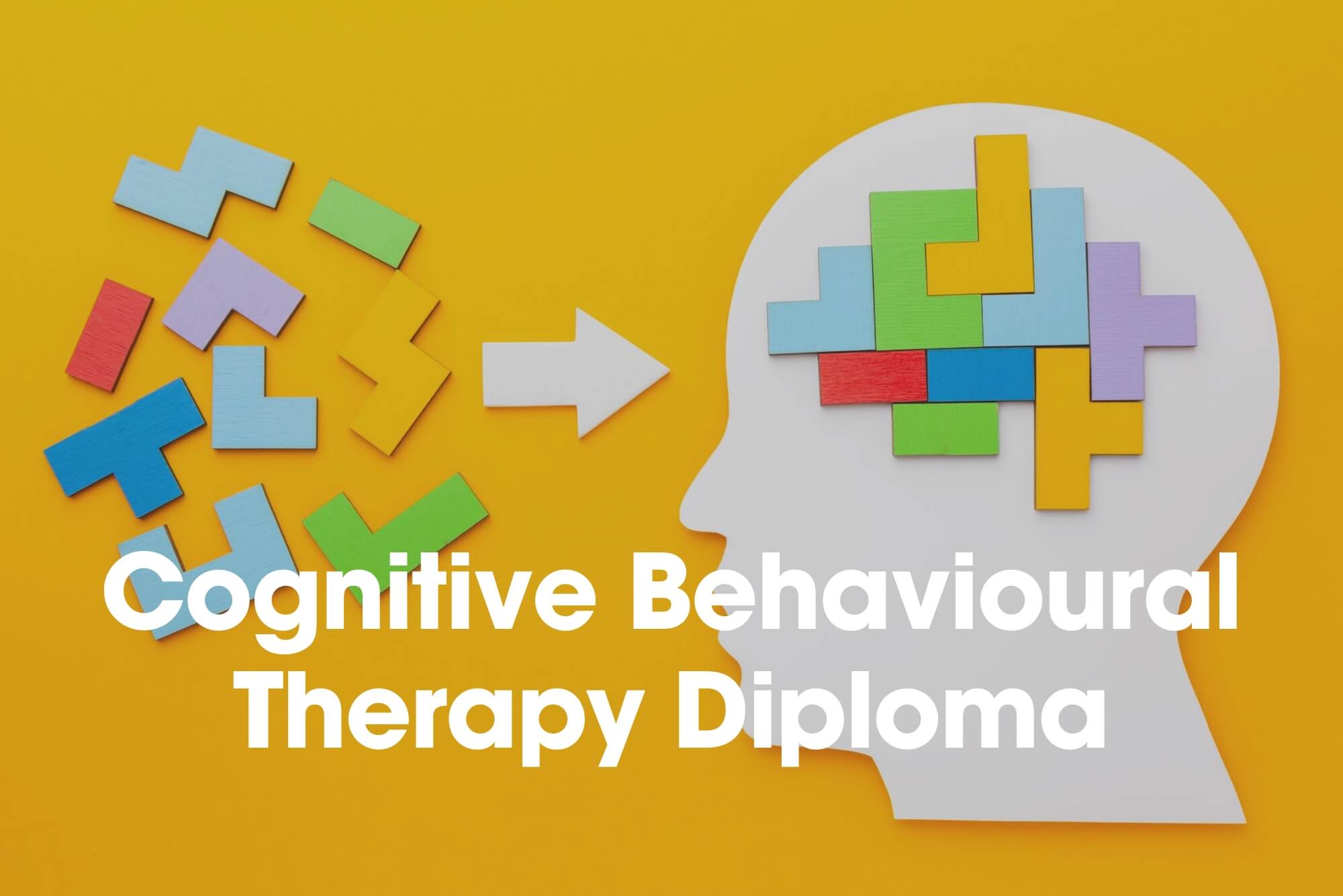 Cognitive Behavioural Therapy Diploma