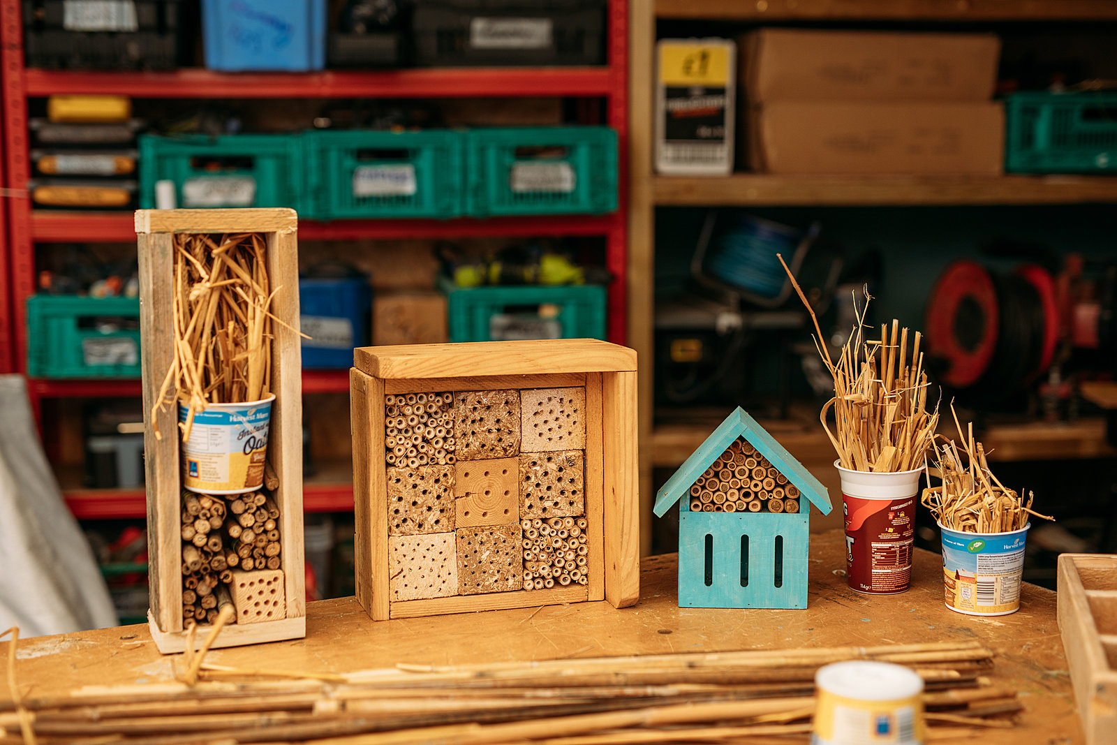 Make a bird or bug house from recycled material