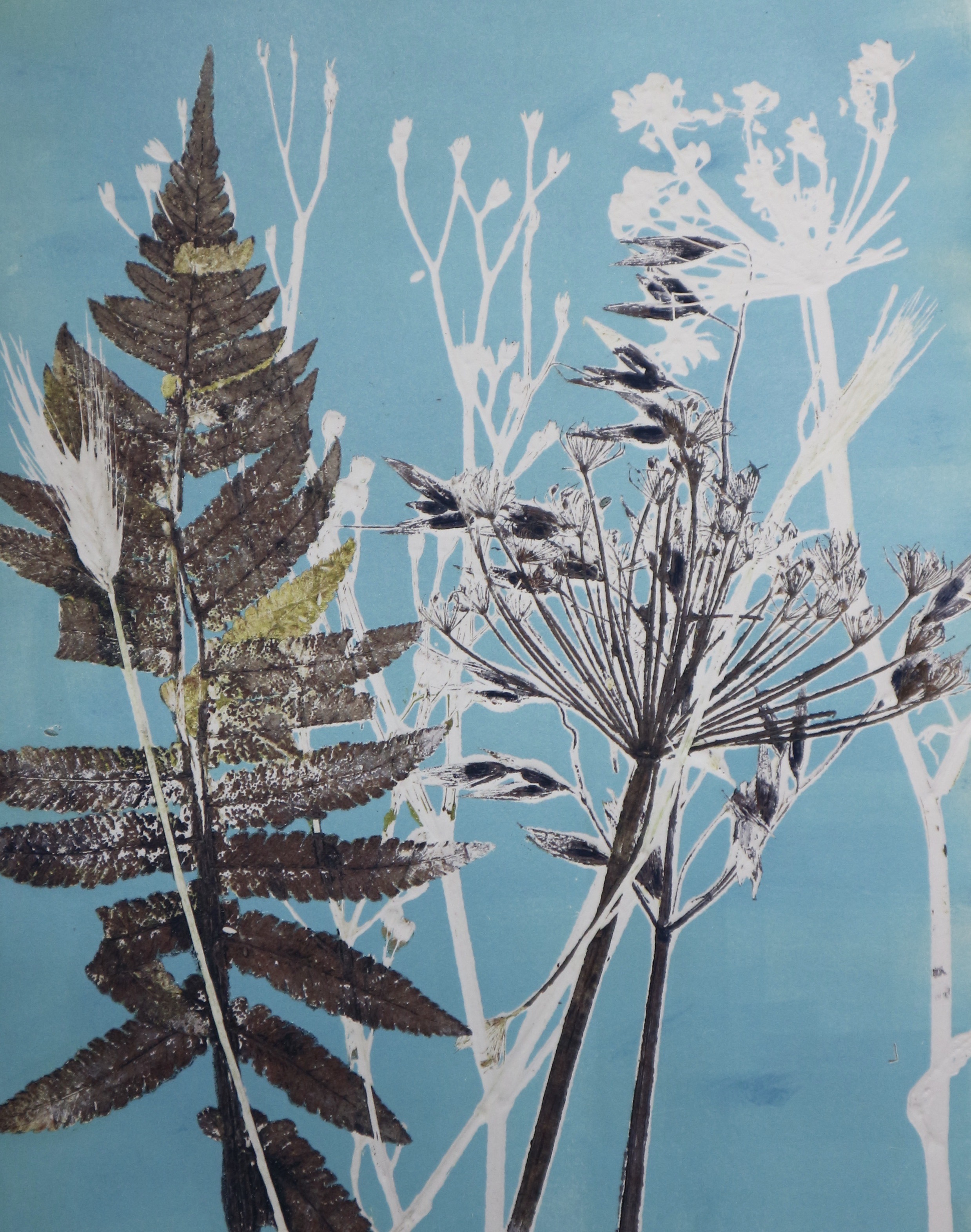 Botanical Mono Printing Class