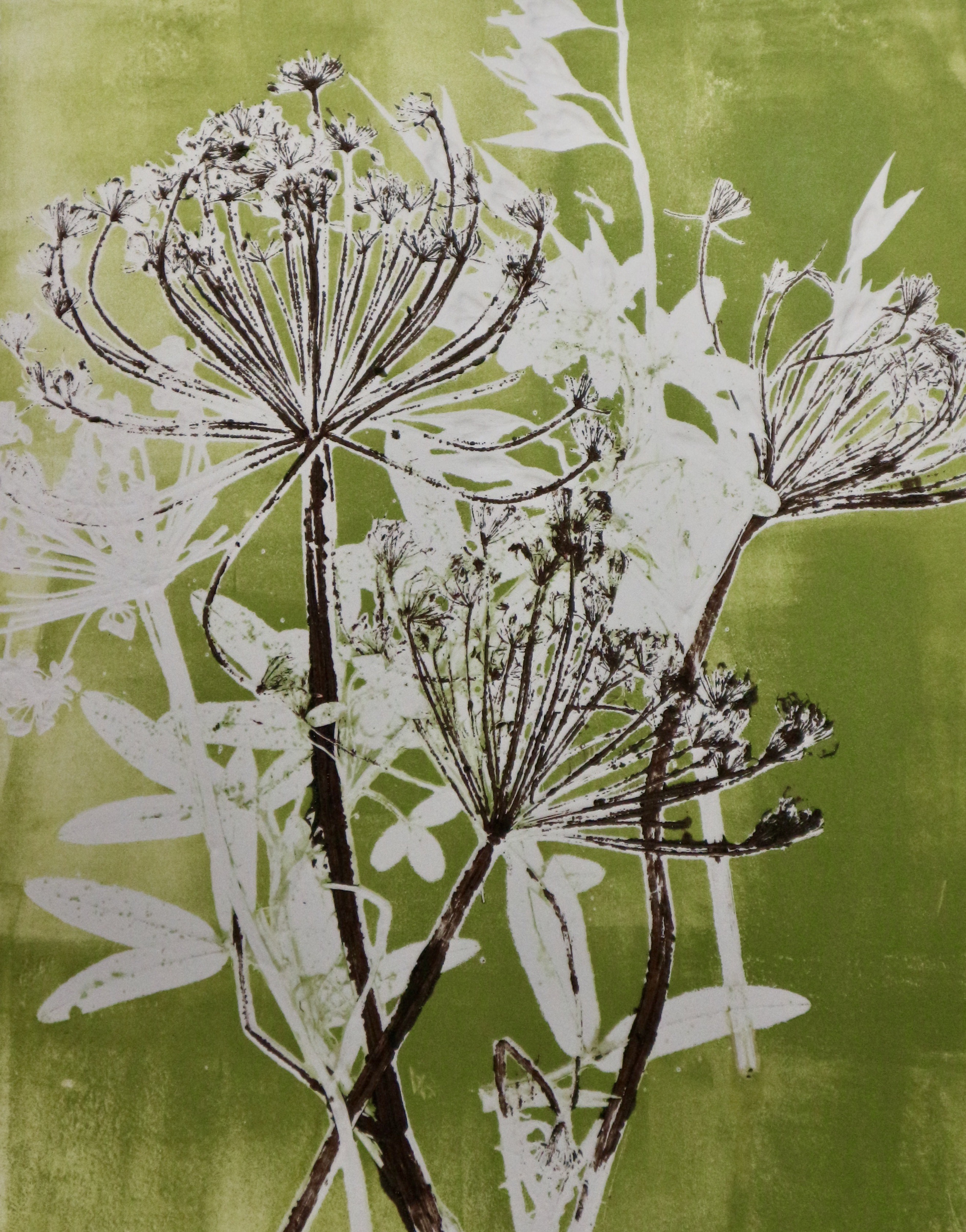 Botanical Mono Printing Class