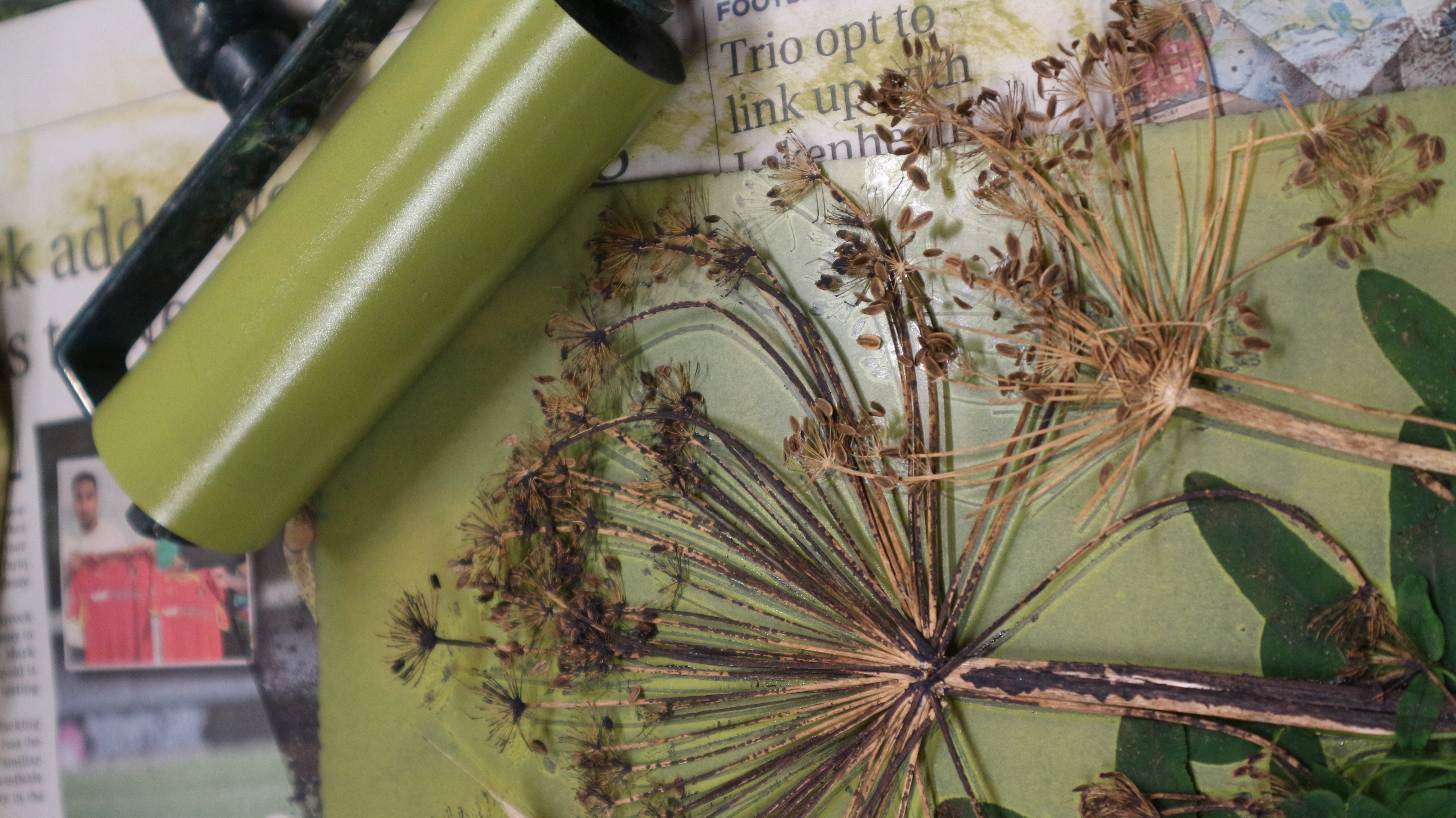 Botanical Mono Printing Class