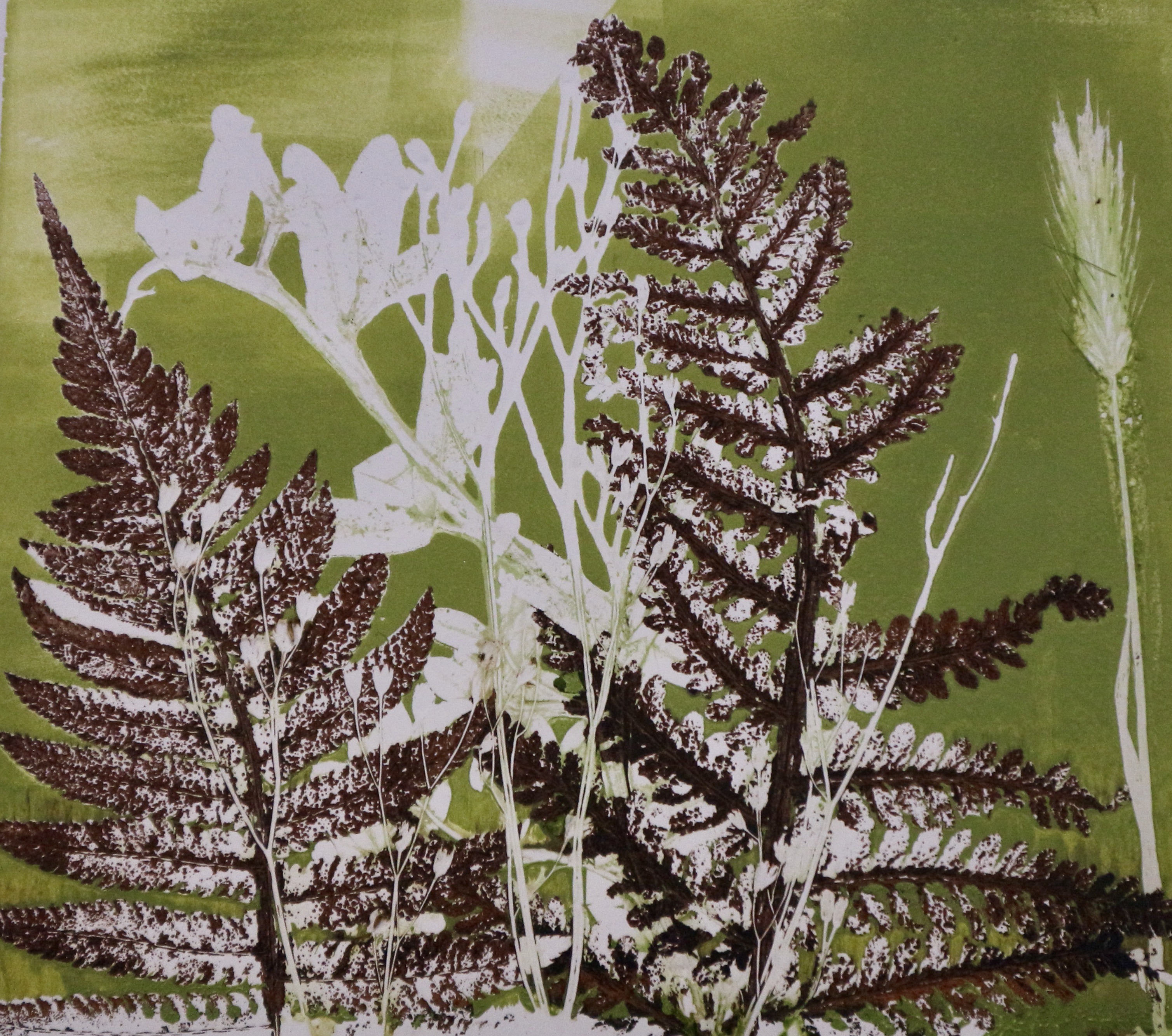 Botanical Mono Printing Class