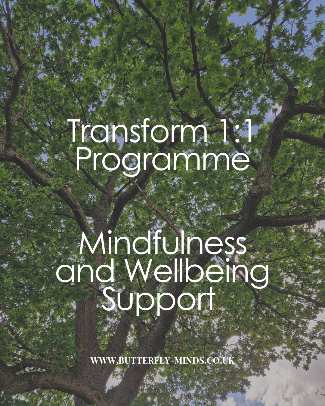 Transform 1:1 Wellbeing programme