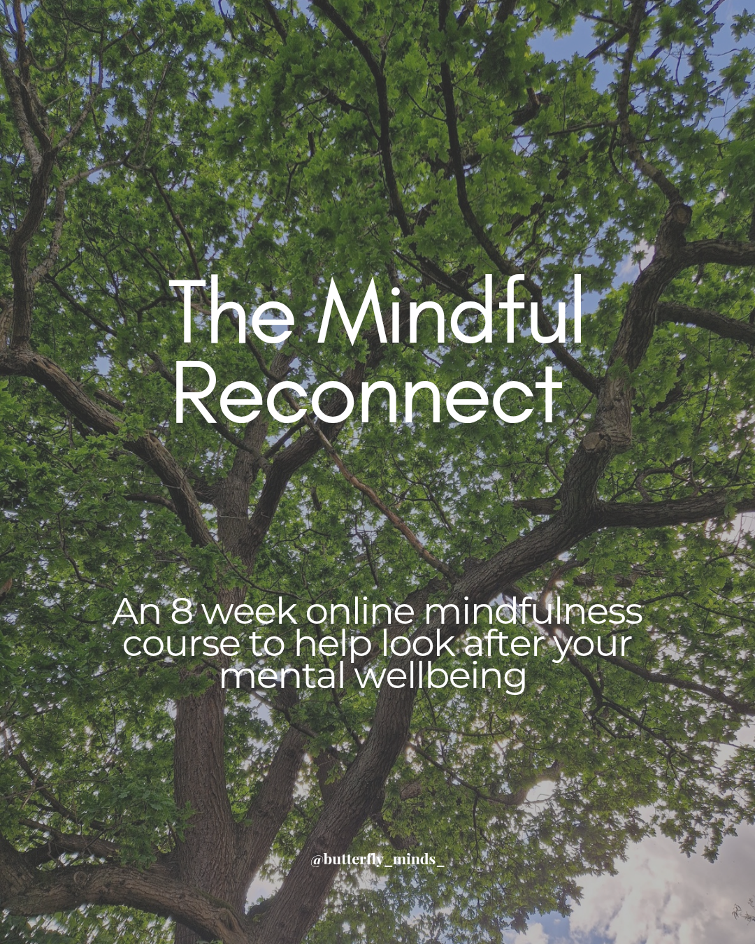 The Mindful Reconnect