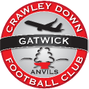 Crawley Down Gatwick Fc logo