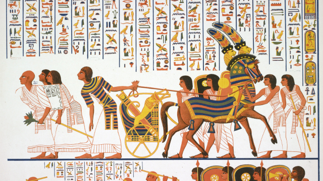 Egyptology Training Course