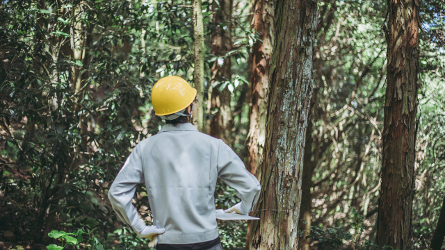 Forestry Training Course