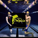 Swindon Dolphin Swimming Club logo