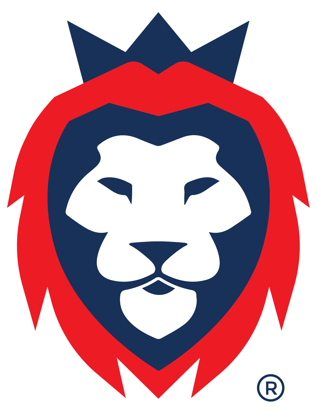 Little Lions Coaching Clinic logo