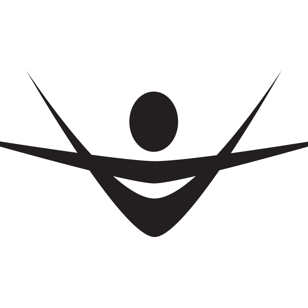 Virtue School of Gymnastics logo