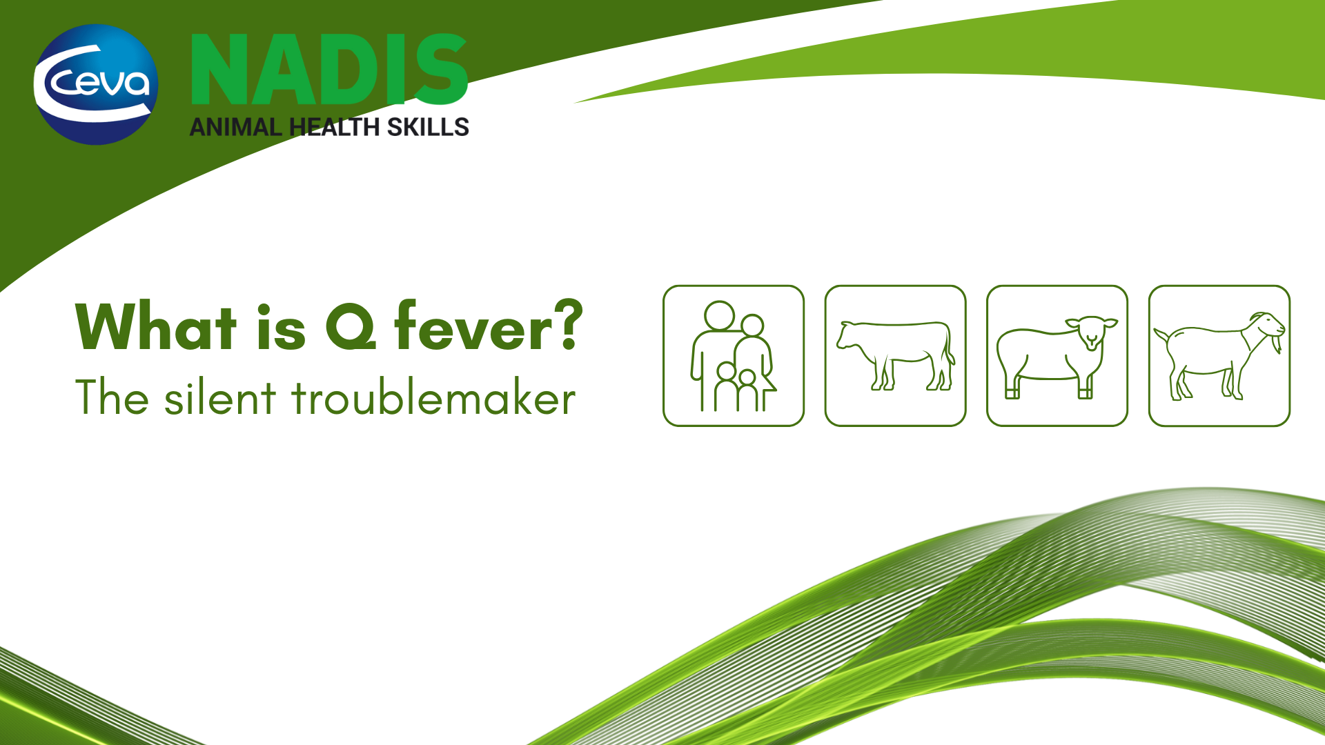 Q Fever – a disease to put on your farming radar